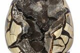 Huge, Septarian Dragon Egg Geode ( lbs!) - Black Crystals #383875-3